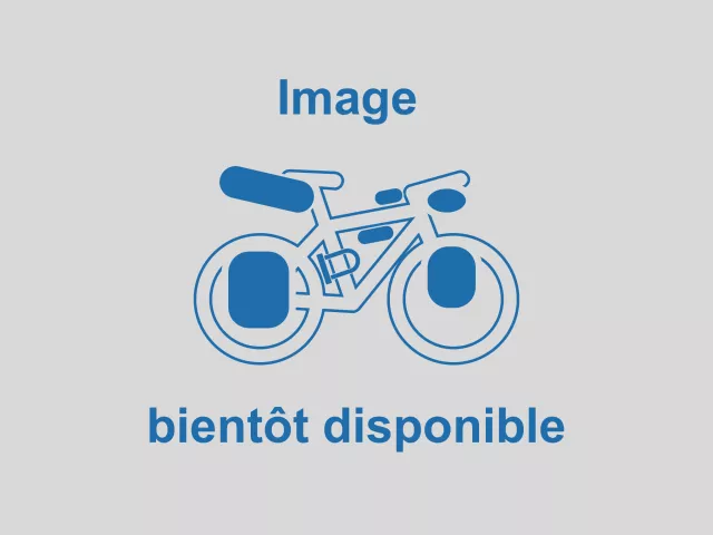 Image bientôt disponible